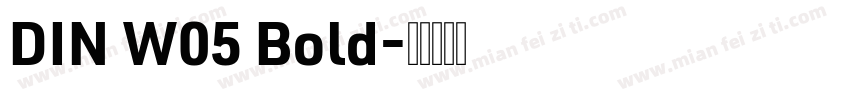 DIN W05 Bold字体转换